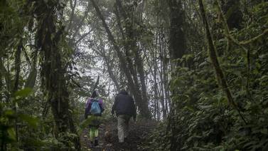 Senderismo, ríos y ganadería: Todo lo que puede hacer cerca del Parque Nacional Tapantí