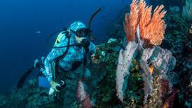 National Geographic estrena filme sobre la riqueza marina de Costa Rica: ‘OSA: Explorando el Corcovado Azul’ 
