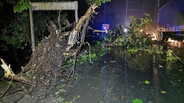 Fuertes lluvias provocaron caídas de árboles en el Caribe y cierre de ruta 32
