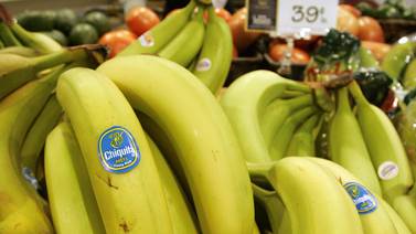 Ministerio de Trabajo atiende despidos en compañía Chiquita Brands