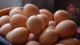 Precio de los huevos cayó 27% en último año por sobreproducción