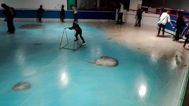 Japón cierra pista que proponía patinar sobre 5.000 peces congelados