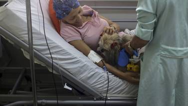 Perros entrenados ayudan con terapia a pacientes de hospital en Brasil
