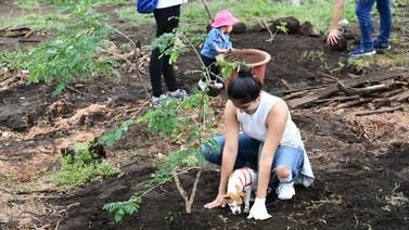 5.000 nuevos árboles crecen en La Sabana luego de una década de voluntariado