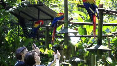 Zoológico Simón Bolívar cerraría operaciones el 10 de mayo