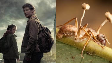 ‘The Last of Us’: ¿Infección por hongos podría pasar en realidad?