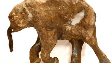 ¿Por qué eran tan grandes los mamuts y otros herbívoros?