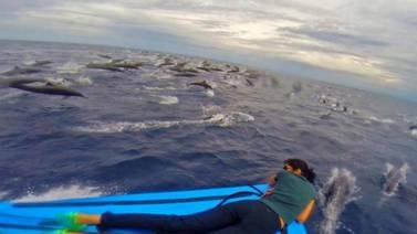 Guía turístico captura gran avistamiento de delfines en Bahía Drake en Osa