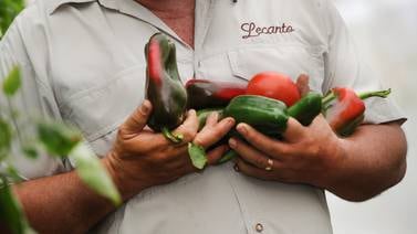 Alimentos orgánicos: una nutricionista y dos productores cuentan ‘sus verdades’