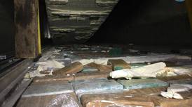 Policía detecta 253 kilos de cocaína que iban para Bélgica en carga de bananos