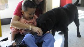 Perros devuelven la sonrisa a niños enfermos del hospital de Heredia
