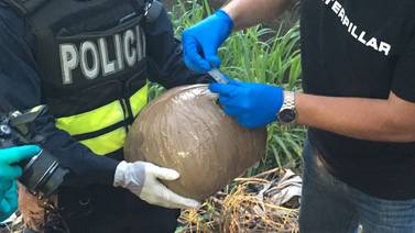 Narcos fabrican bolas con marihuana para despistar a la policía