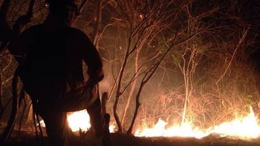 Incendio forestal ya afectó 1.700 hectáreas en Parque Nacional Diriá