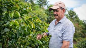 Finca Don Cayito produce el mejor café de Costa Rica bajo los cuidados de toda una familia 