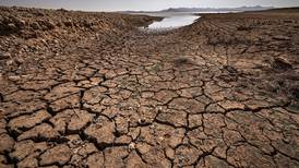 Gran parte de Inglaterra declara estado de sequía