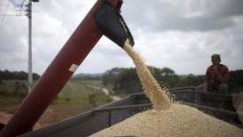 Precios mundiales de alimentos caen en julio, según FAO 
