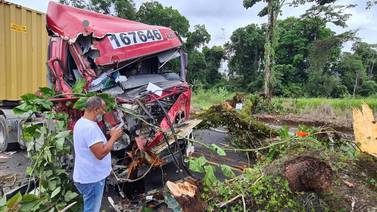Árbol cae sobre trailer en Guácimo por fuertes vientos
