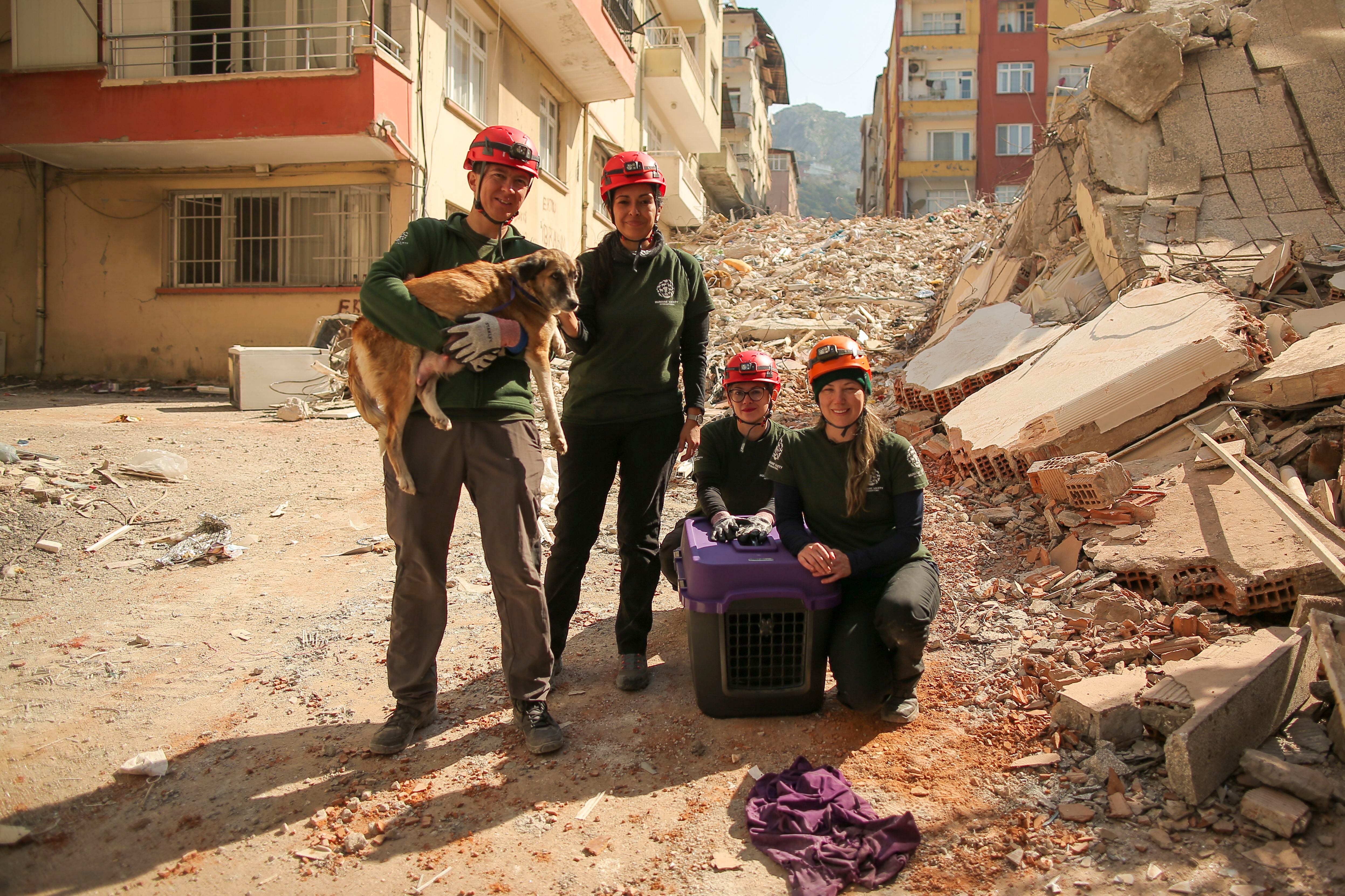 El trabajo en equipo fue vital para las cuatro costarricenses que viajaron hasta Turquía para ayudar a rescatar animales. Foto: HSI para LN