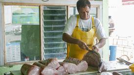 Estudios avalan volver a la pesca en Puntarenas