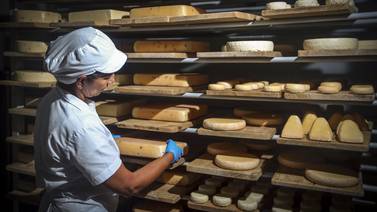 Turrialba Gourmet y Grupo America crean empresa conjunta para ampliar oferta de quesos finos