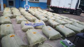 Conductor simuló transportar abono en sacos que tenían 692 kilos de marihuana en Caldera 