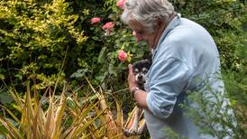 Murió 'Manuela', famosa perra de tres patas del expresidente uruguayo Mujica