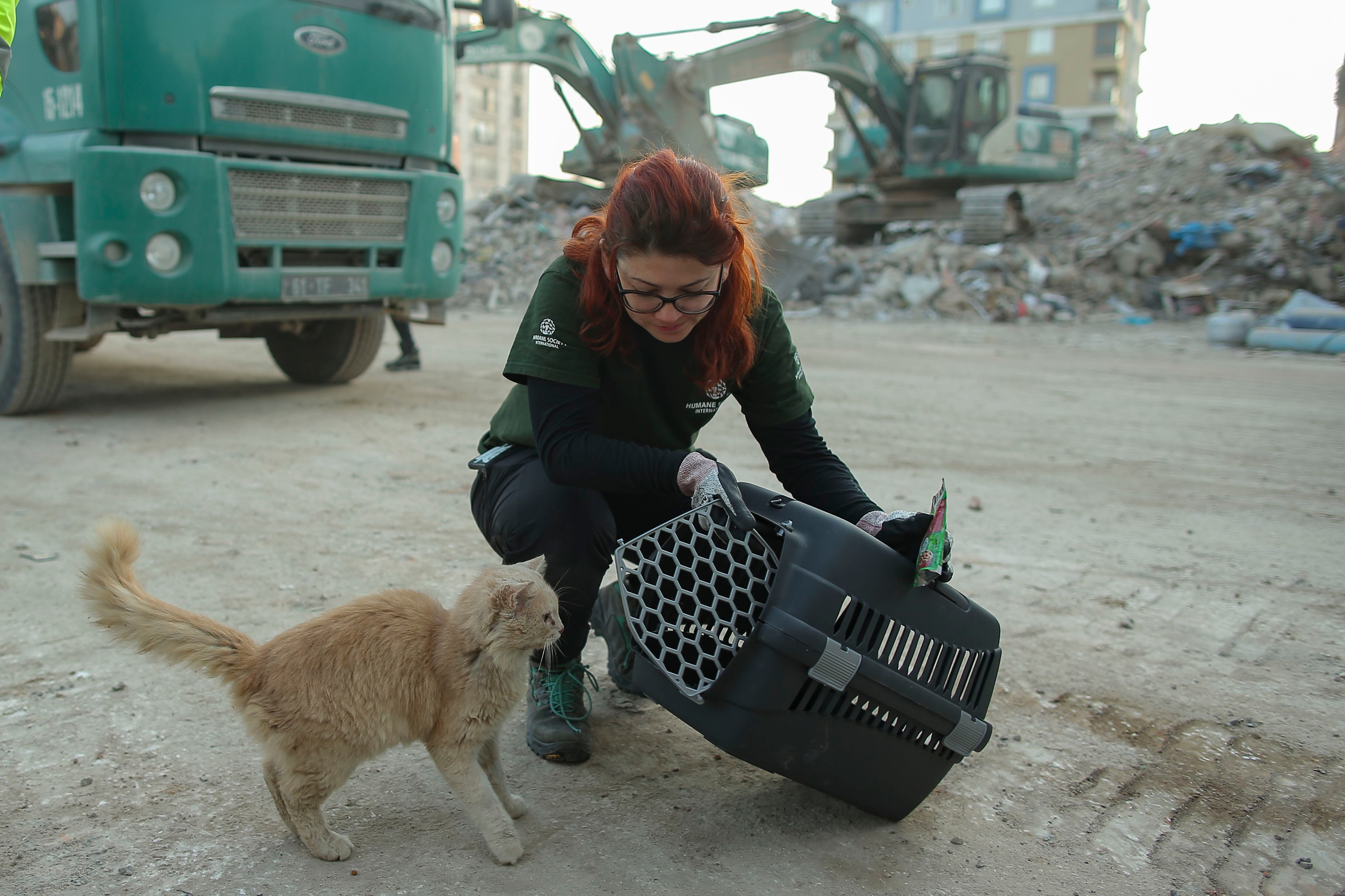 Andrea Induni junto con un gatito recién rescatado. Foto: HSI para LN