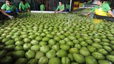 Costa Rica logra bajar las retenciones de productos agrícolas en Estados Unidos