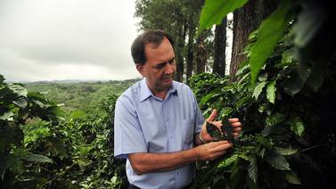 Starbucks abrirá centro para visitantes en su finca experimental de café en Costa Rica
