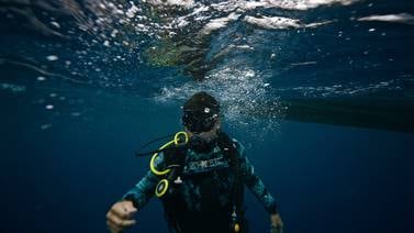 Buceo en la Isla del Coco: un relato submarino