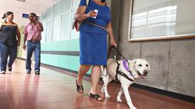 Personas ciegas pueden ingresar con sus perros guía al hospital de San Carlos