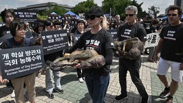 La actriz Kim Basinger protesta por consumo de carne de perro en Corea del Sur
