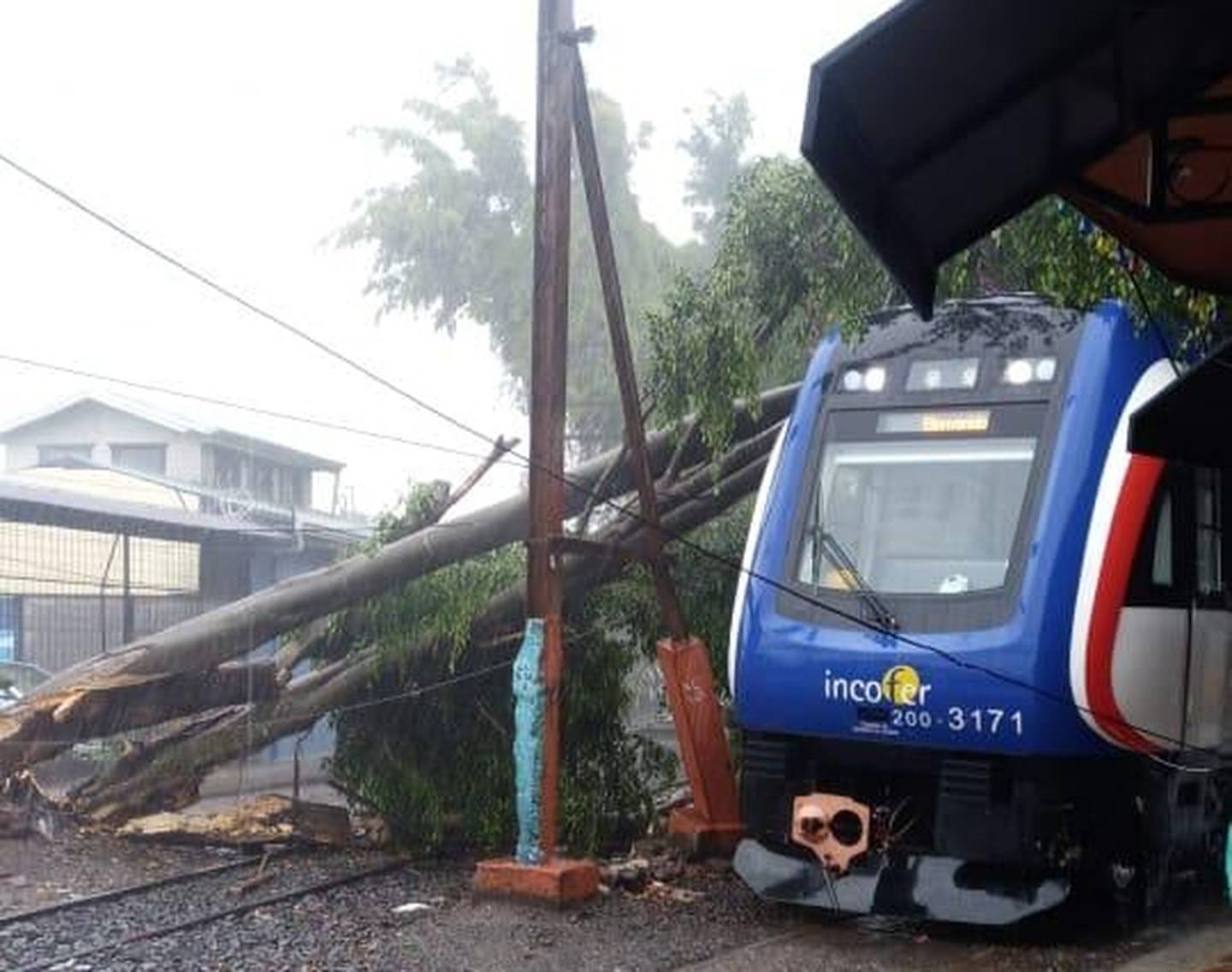 Incofer suspende servicio de tren hacia Cartago y Heredia por caída de árbol