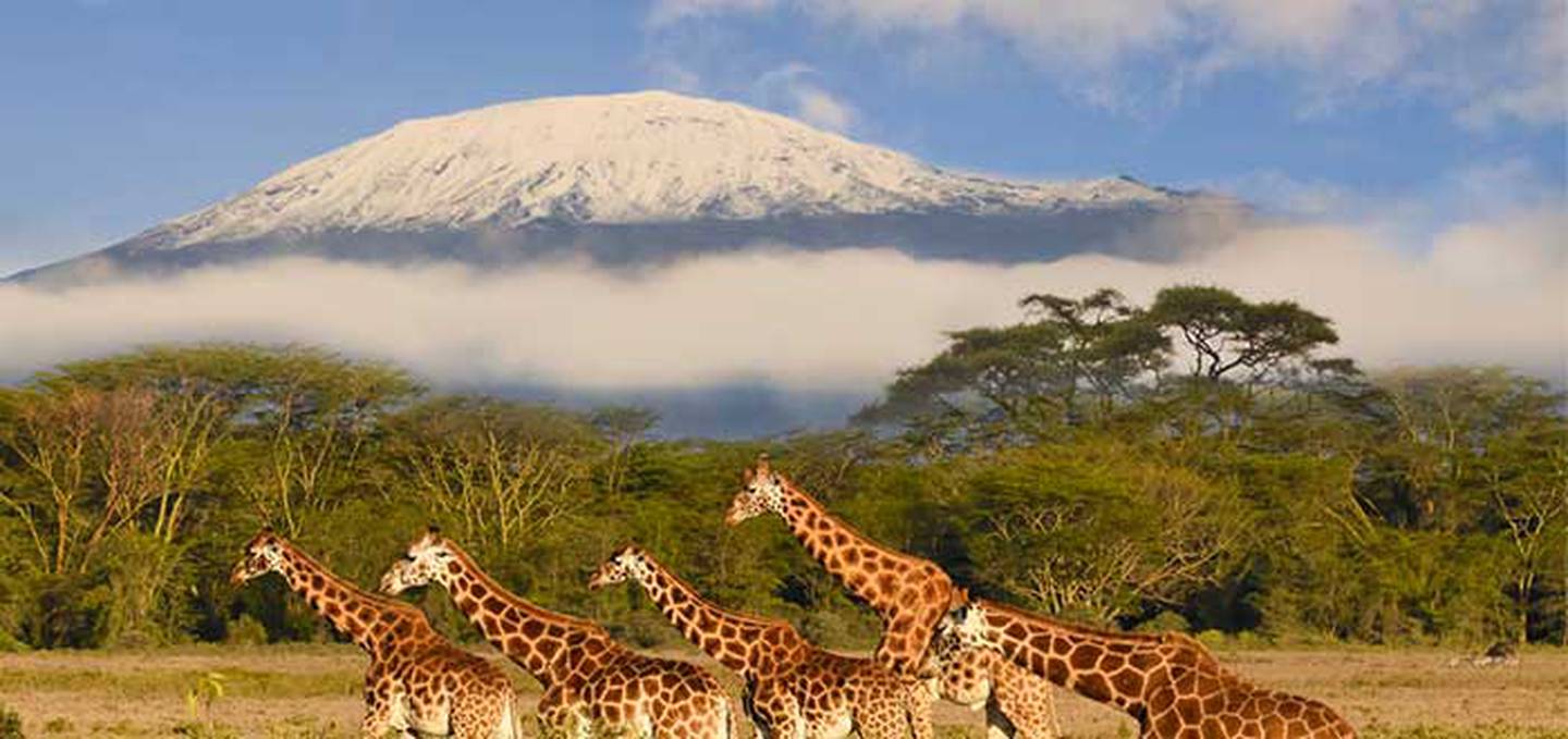 El Monte Kilimanjaro tiene una altura de 5.891 metros.