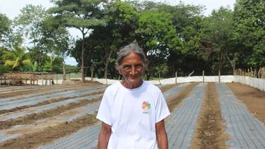De la huerta a la mesa: Mujeres logran que Guanacaste se nutra de hortalizas sin agroquímicos