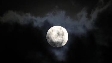 ¿Una huerta en la luna? La agencia espacial francesa hace agricultura lunar