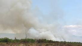 Incendio de grandes proporciones afecta al humedal nacional Térraba Sierpe