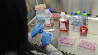 Decreto pone en regla la investigación biomédica