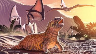 Fósil brasileño de 80 millones de años podría reescribir historia de los lagartos