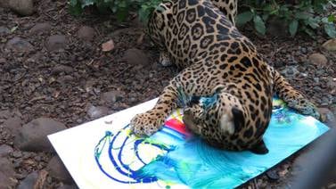 La jaguar Curubanda pinta para reducir el estrés