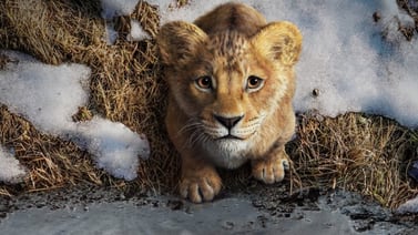 Vea el tráiler de ‘Mufasa’, la nueva cinta de Disney basada en la historia de El rey León   