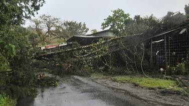Árbol provoca daños tras caer sobre dos viviendas por  vientos