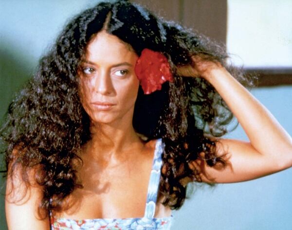 Sonia Braga, la diva del cine brasileño que se mudó a la televisión  estadounidense - La Nación