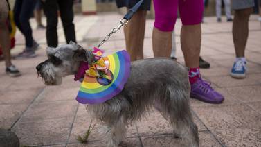 Población LGBTI presiona por fallo afirmativo sobre matrimonio igualitario a días de que Sala IV se pronuncie