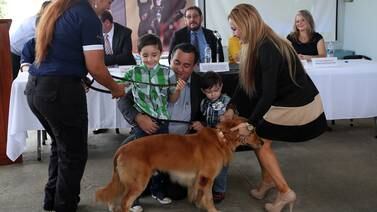 Familias de funcionarios judiciales acogen a Lazca, Tango y Fergus, tres perros adiestrados que cumplieron su misión