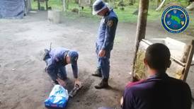 Policía sorprende a sujeto tras saquear huevos de tortuga baula en Limón