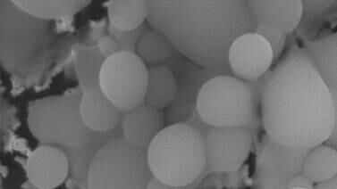 Tica diseña nanopartícula para atacar bacteria de hospitales