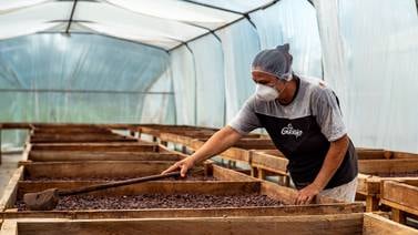 Catica Chocolates, la pequeña empresa de cacao que busca crecer bajo la bandera del valor agregado