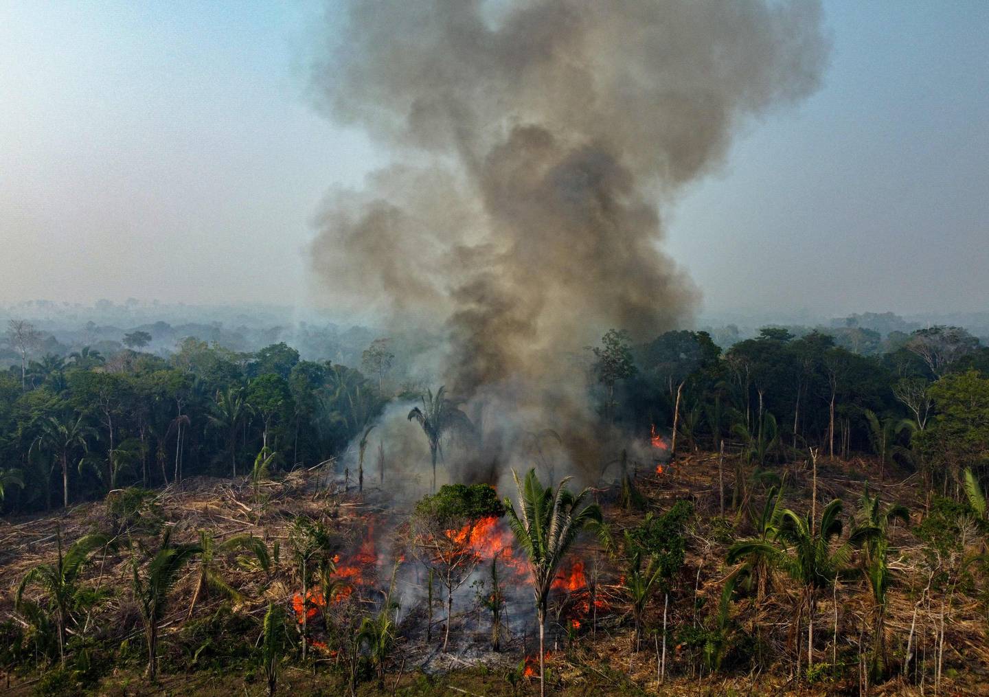 El Amazonas es el principal pulmón del mundo y está amenazado por los incendios forestales.