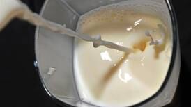 Consumir leche retrasaría avance de la osteoartritis  